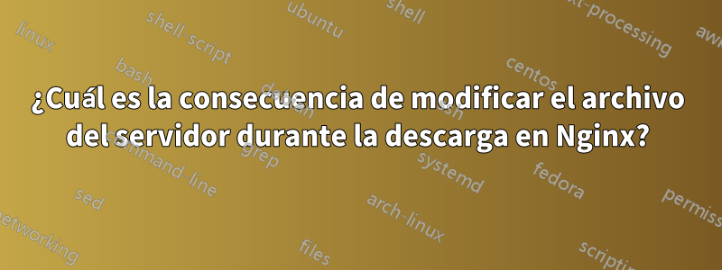 ¿Cuál es la consecuencia de modificar el archivo del servidor durante la descarga en Nginx?