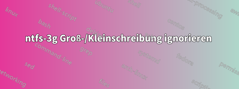 ntfs-3g Groß-/Kleinschreibung ignorieren