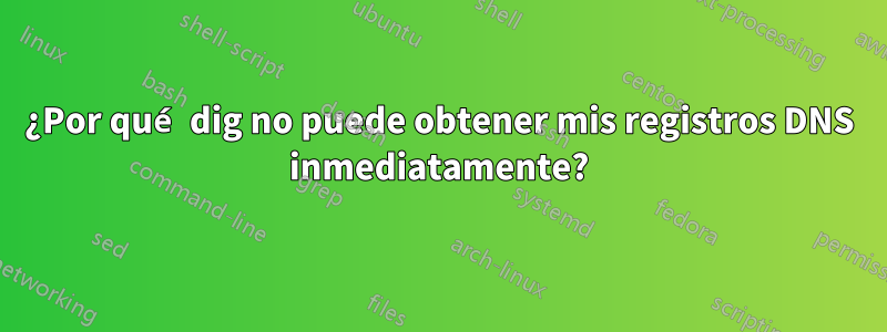 ¿Por qué dig no puede obtener mis registros DNS inmediatamente?