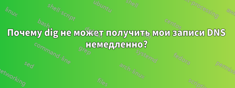 Почему dig не может получить мои записи DNS немедленно?