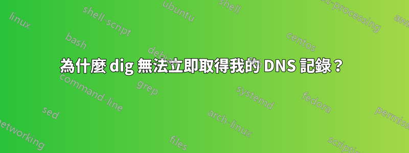 為什麼 dig 無法立即取得我的 DNS 記錄？