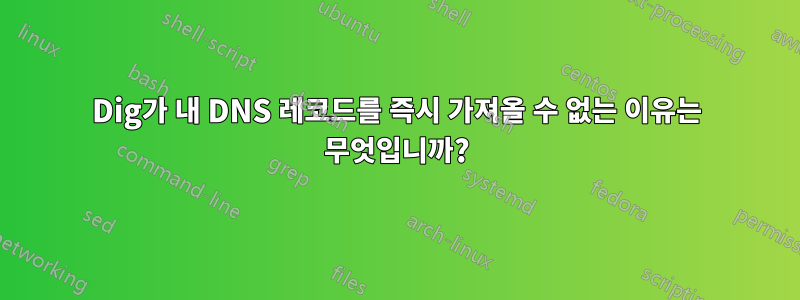 Dig가 내 DNS 레코드를 즉시 가져올 수 없는 이유는 무엇입니까?