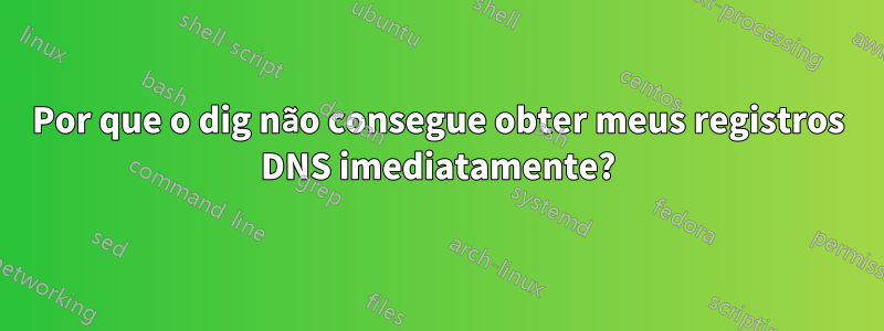 Por que o dig não consegue obter meus registros DNS imediatamente?