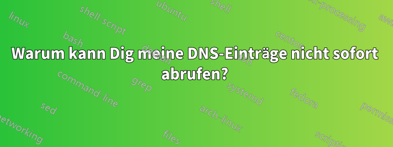 Warum kann Dig meine DNS-Einträge nicht sofort abrufen?