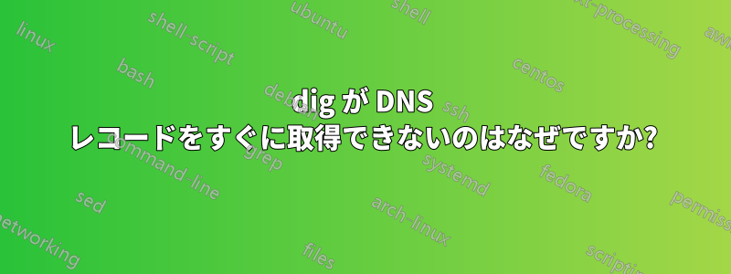 dig が DNS レコードをすぐに取得できないのはなぜですか?