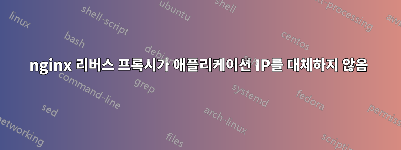 nginx 리버스 프록시가 애플리케이션 IP를 대체하지 않음