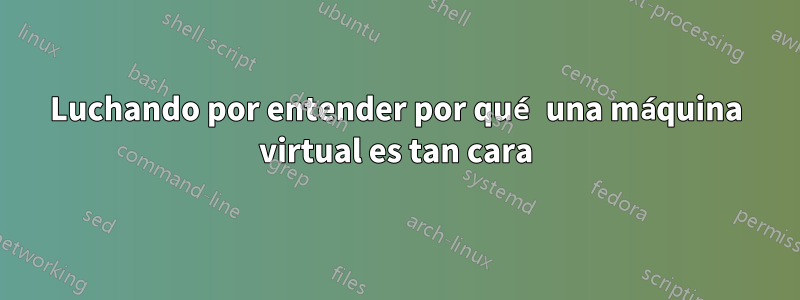 Luchando por entender por qué una máquina virtual es tan cara