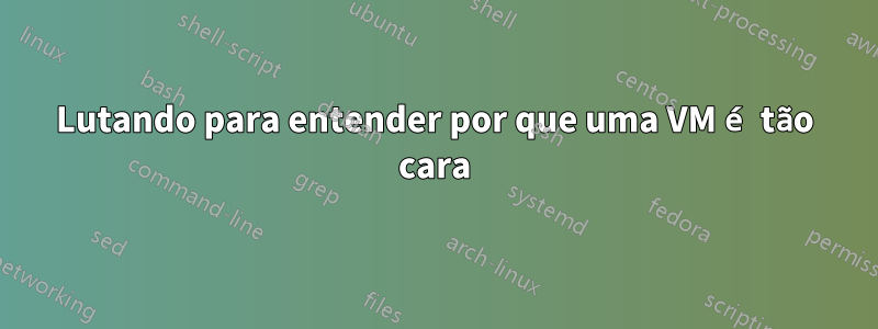 Lutando para entender por que uma VM é tão cara