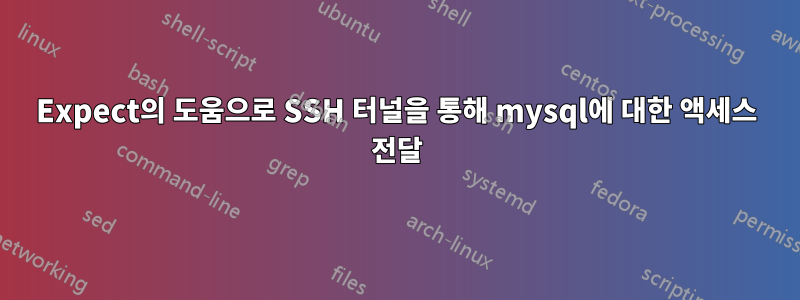 Expect의 도움으로 SSH 터널을 통해 mysql에 대한 액세스 전달