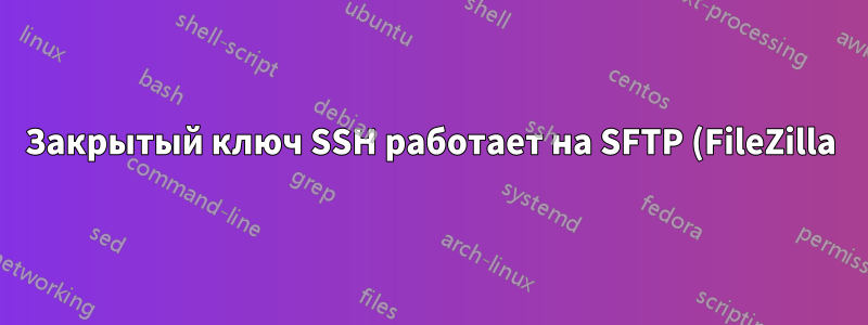 Закрытый ключ SSH работает на SFTP (FileZilla), но не в консоли