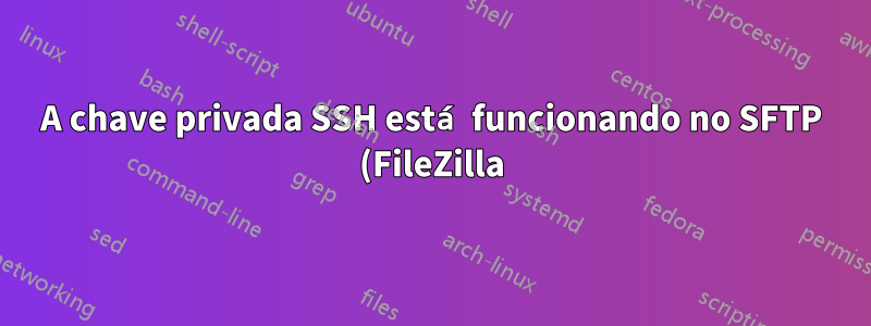A chave privada SSH está funcionando no SFTP (FileZilla), mas não no console