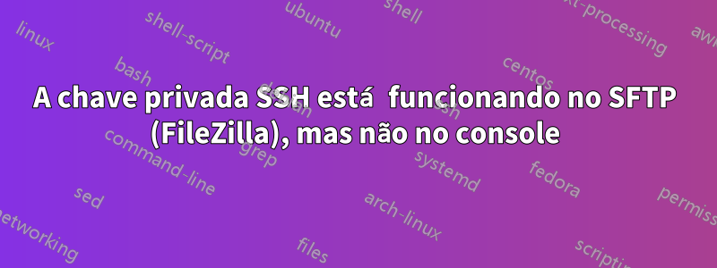 A chave privada SSH está funcionando no SFTP (FileZilla), mas não no console