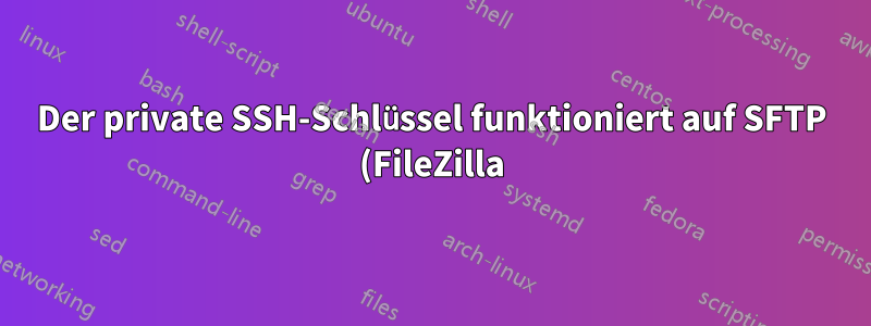 Der private SSH-Schlüssel funktioniert auf SFTP (FileZilla), aber nicht in der Konsole