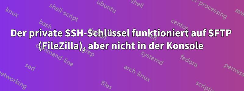 Der private SSH-Schlüssel funktioniert auf SFTP (FileZilla), aber nicht in der Konsole