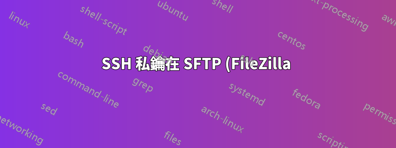 SSH 私鑰在 SFTP (FileZilla) 上有效,但在控制台中無效