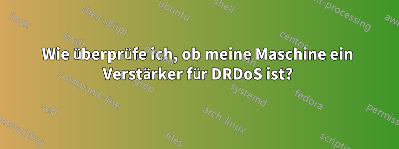 Wie überprüfe ich, ob meine Maschine ein Verstärker für DRDoS ist?