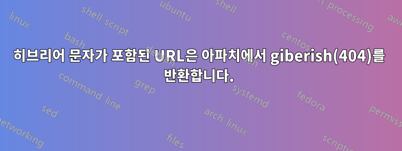 히브리어 문자가 포함된 URL은 아파치에서 giberish(404)를 반환합니다.