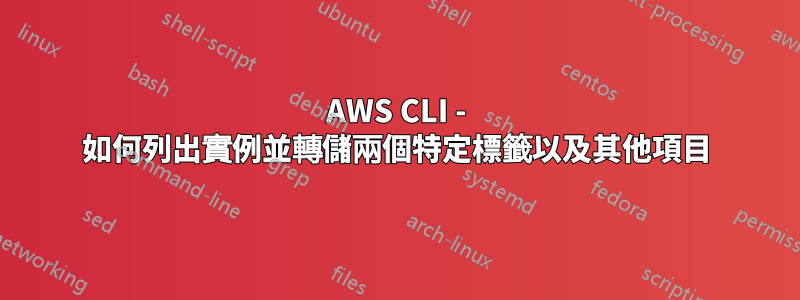 AWS CLI - 如何列出實例並轉儲兩個特定標籤以及其他項目