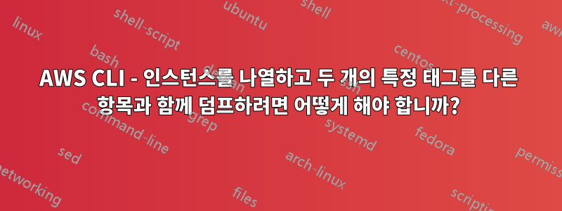 AWS CLI - 인스턴스를 나열하고 두 개의 특정 태그를 다른 항목과 함께 덤프하려면 어떻게 해야 합니까?