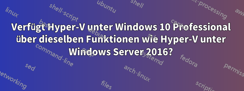 Verfügt Hyper-V unter Windows 10 Professional über dieselben Funktionen wie Hyper-V unter Windows Server 2016?