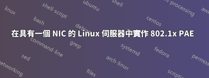 在具有一個 NIC 的 Linux 伺服器中實作 802.1x PAE 