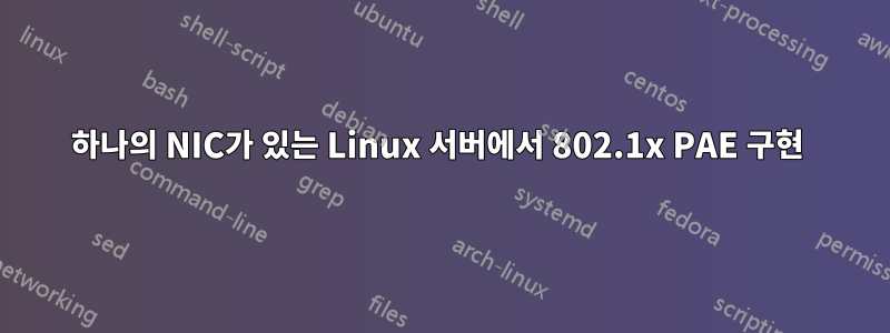 하나의 NIC가 있는 Linux 서버에서 802.1x PAE 구현 