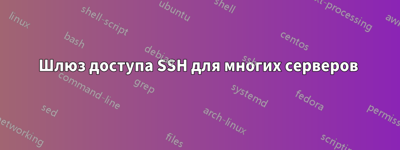 Шлюз доступа SSH для многих серверов