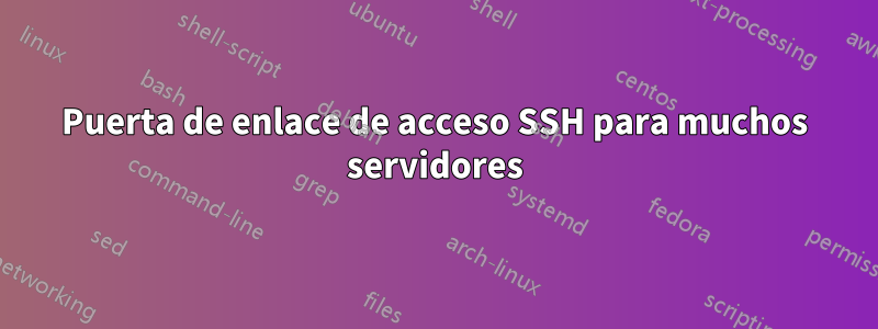 Puerta de enlace de acceso SSH para muchos servidores