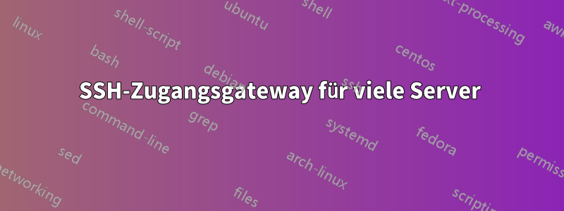 SSH-Zugangsgateway für viele Server