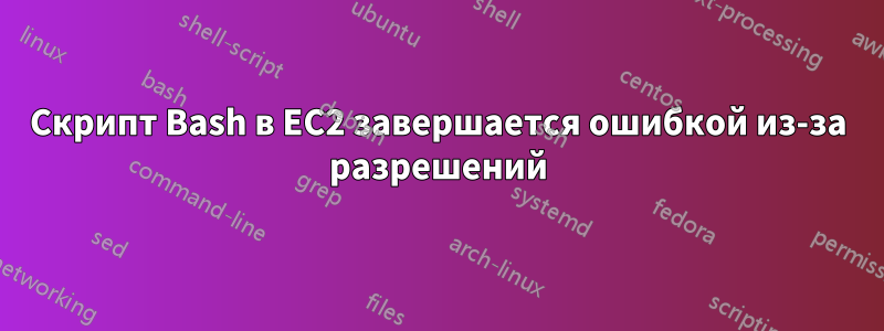 Скрипт Bash в EC2 завершается ошибкой из-за разрешений