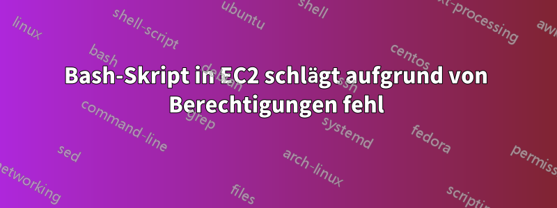 Bash-Skript in EC2 schlägt aufgrund von Berechtigungen fehl