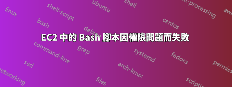 EC2 中的 Bash 腳本因權限問題而失敗