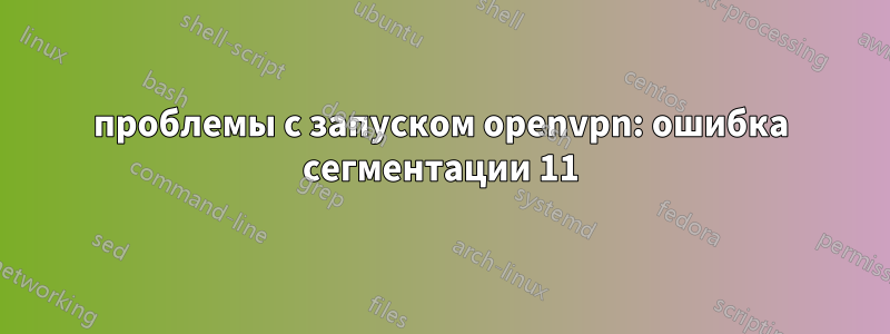 проблемы с запуском openvpn: ошибка сегментации 11