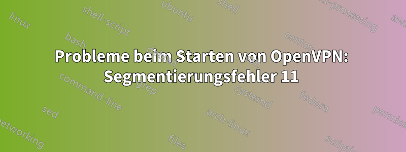 Probleme beim Starten von OpenVPN: Segmentierungsfehler 11