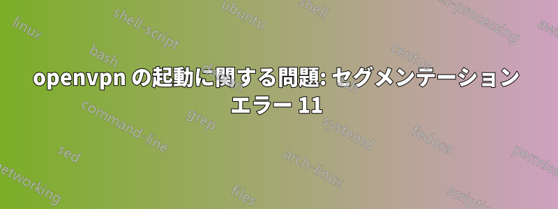 openvpn の起動に関する問題: セグメンテーション エラー 11