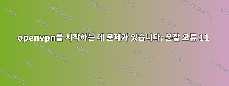 openvpn을 시작하는 데 문제가 있습니다: 분할 오류 11