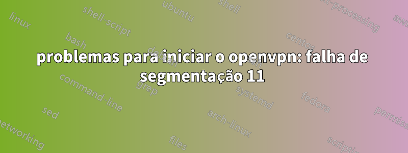 problemas para iniciar o openvpn: falha de segmentação 11