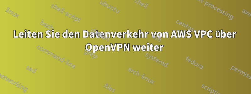 Leiten Sie den Datenverkehr von AWS VPC über OpenVPN weiter