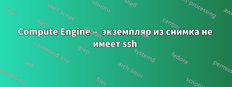 Compute Engine — экземпляр из снимка не имеет ssh