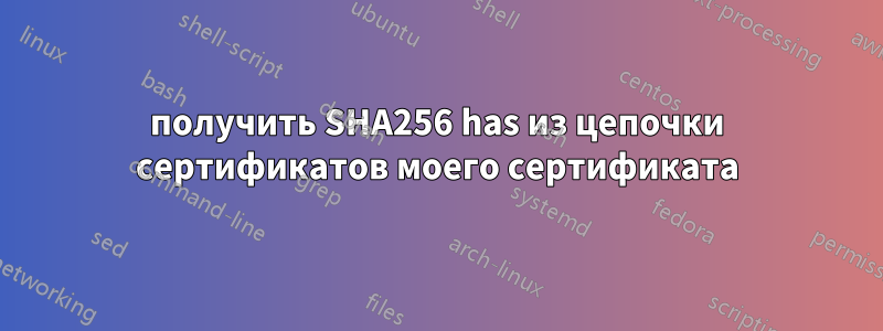 получить SHA256 has из цепочки сертификатов моего сертификата