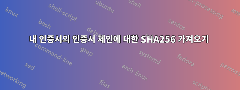 내 인증서의 인증서 체인에 대한 SHA256 가져오기