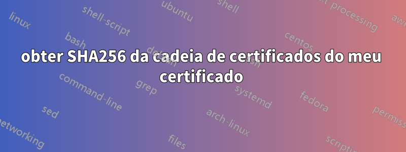 obter SHA256 da cadeia de certificados do meu certificado