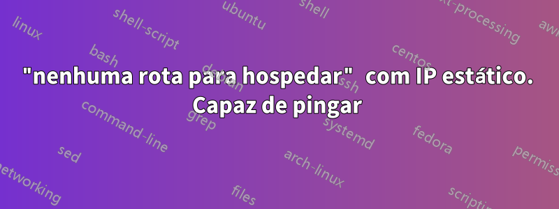 "nenhuma rota para hospedar" com IP estático. Capaz de pingar