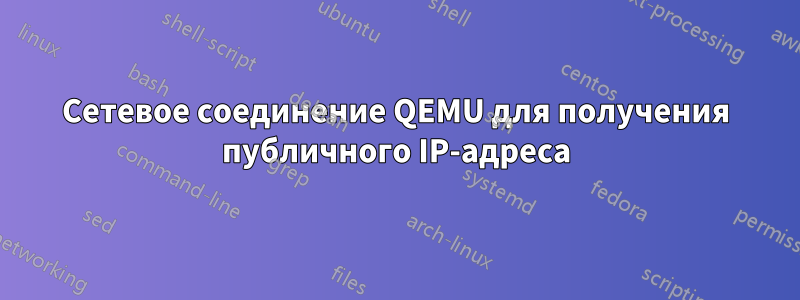 Сетевое соединение QEMU для получения публичного IP-адреса