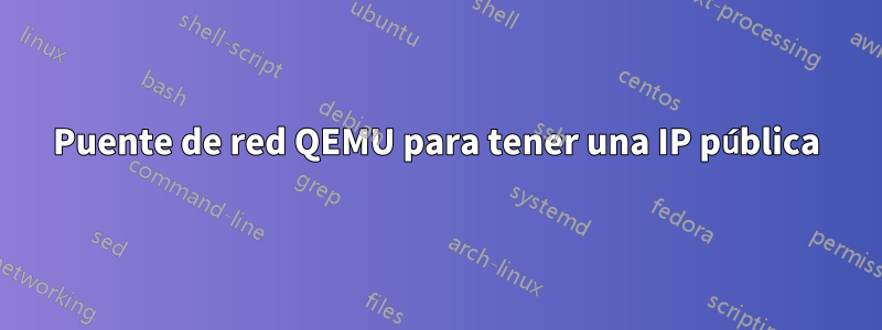 Puente de red QEMU para tener una IP pública