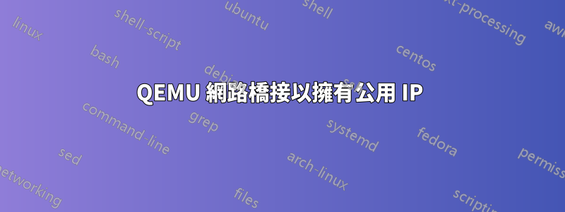 QEMU 網路橋接以擁有公用 IP