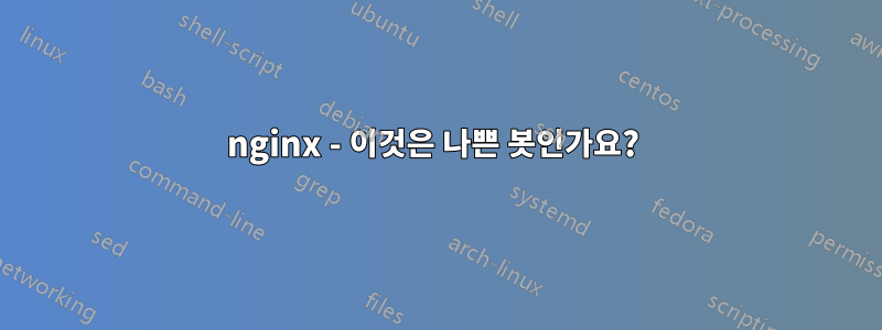 nginx - 이것은 나쁜 봇인가요? 