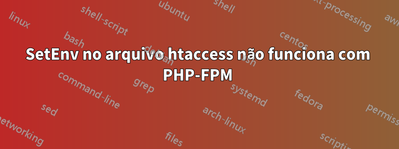 SetEnv no arquivo htaccess não funciona com PHP-FPM