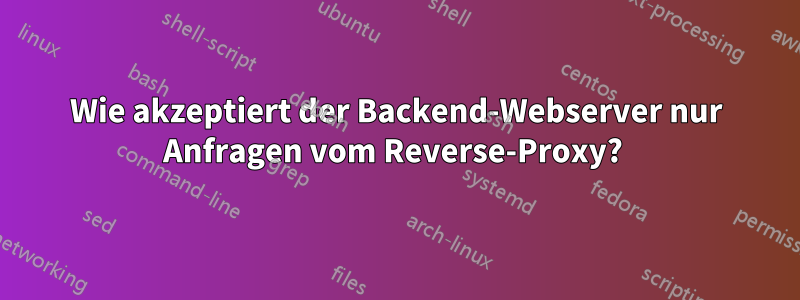 Wie akzeptiert der Backend-Webserver nur Anfragen vom Reverse-Proxy? 