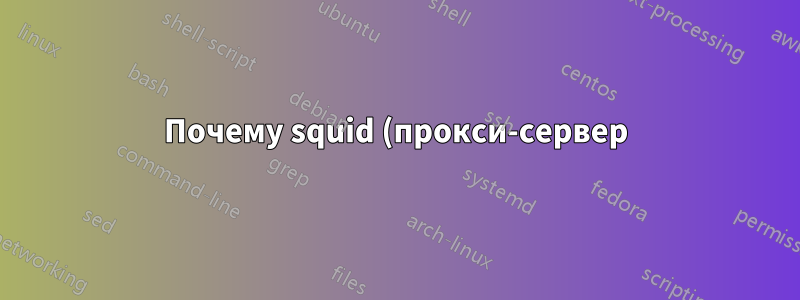Почему squid (прокси-сервер) прослушивает порт 48512?